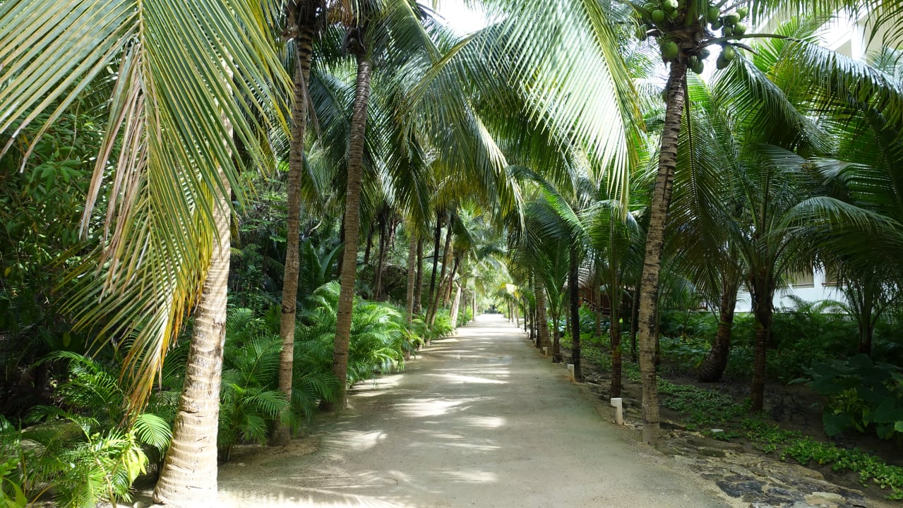 Gartenanlage Akumal Bay Beach & Wellness Resort