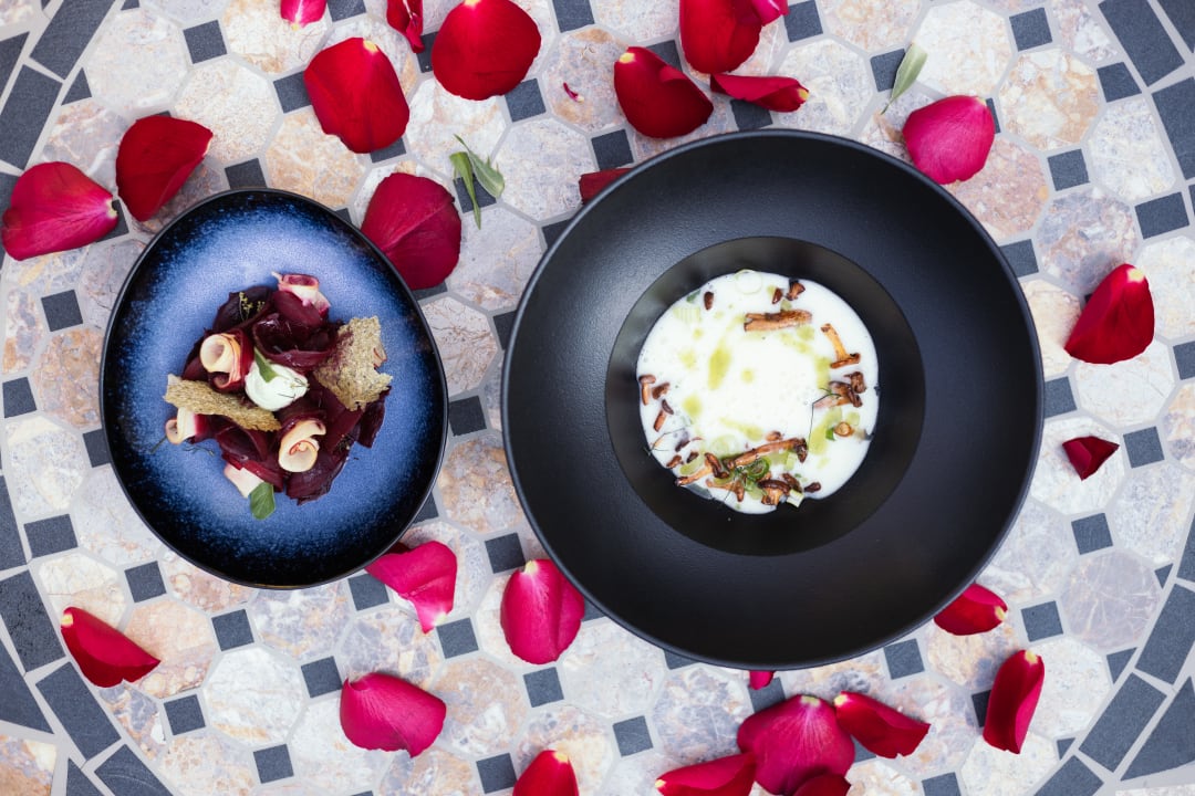 Gastro Viktorias Home In Room Spa Appartements