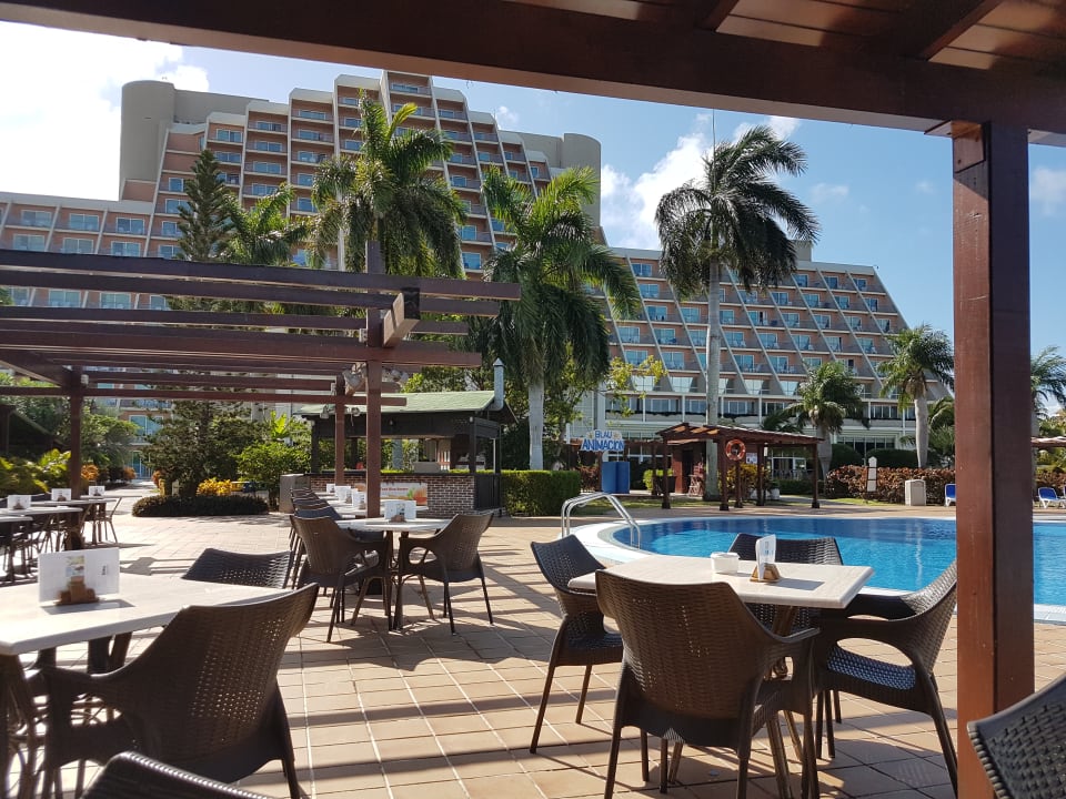 Gastro Blau varadero - Adults only