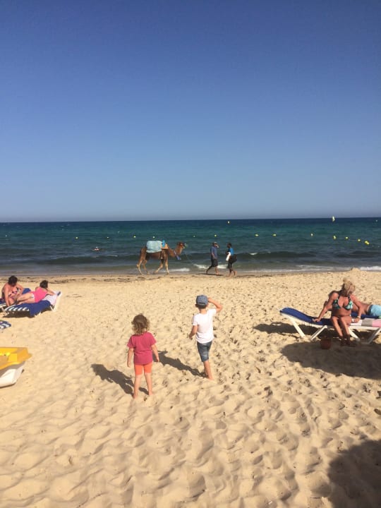 Strand Hotel Royal Nozha