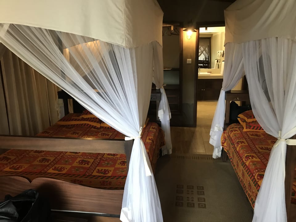 Zimmer Fig Tree Camp Maasai Mara