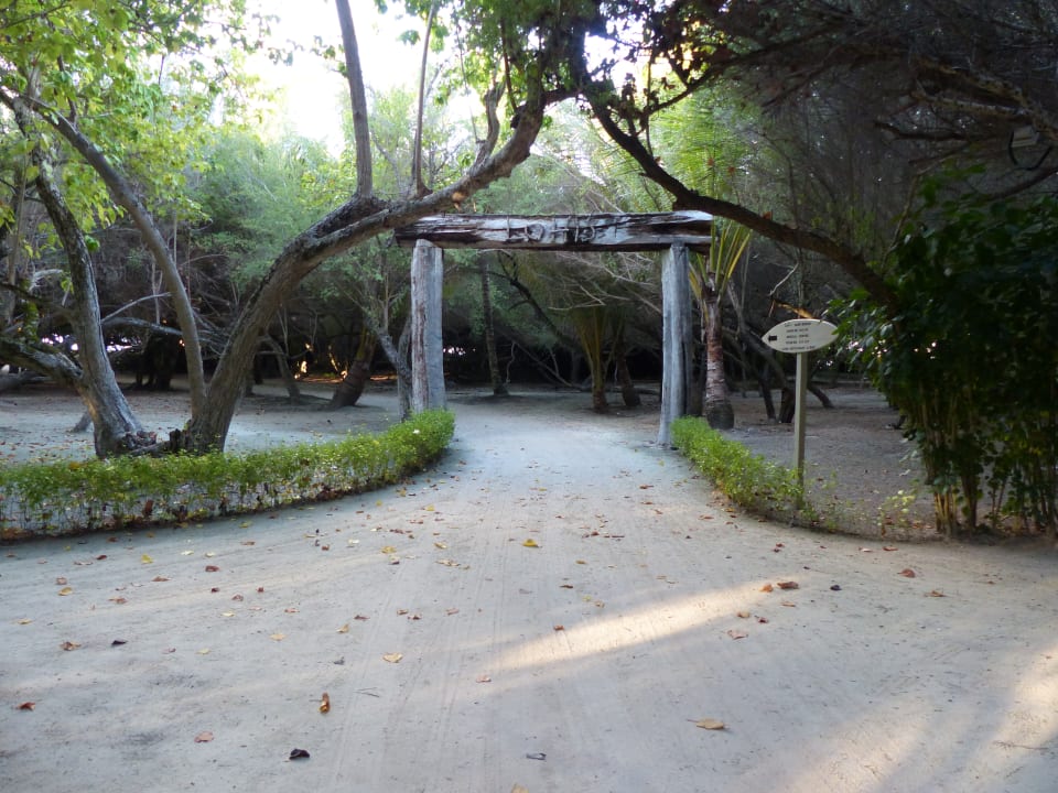 Gartenanlage Adaaran Select Hudhuran Fushi - Premium All Inclusive