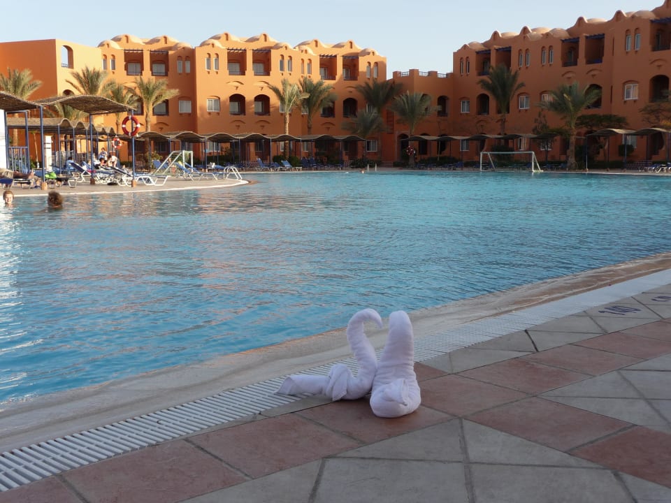 Pool Jaz Makadi Oasis Resort