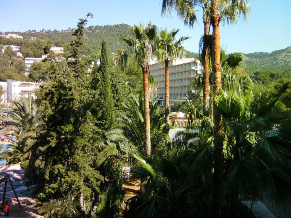 Blick vom Balkon in den Garten Valentin Somni Hotel & Suites