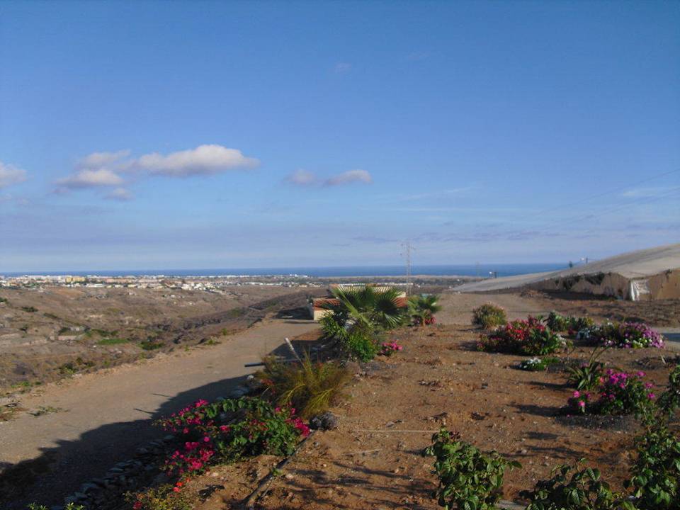Gepflegte neue Gartenanlage Villa Los Azules