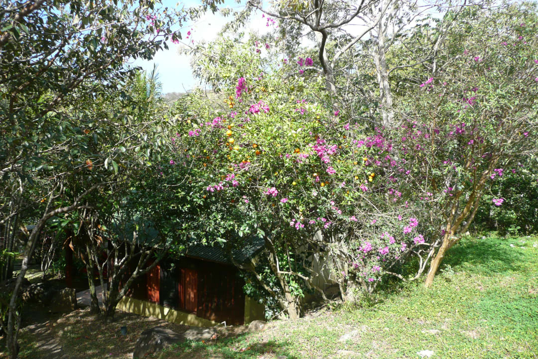 Gartenanlage Hotel Rinconcito Lodge