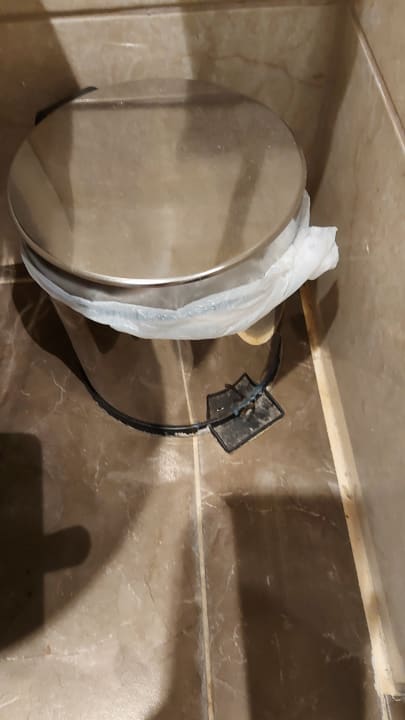 Zimmer Well Palace Side