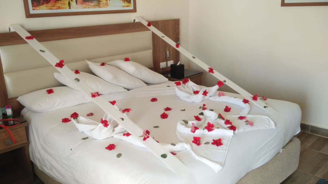 Zimmer Pickalbatros Aqua Park Resort - Sharm El Sheikh