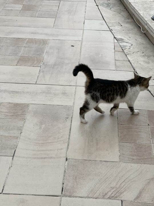 Sonstiges Limak Limra Hotel & Resort