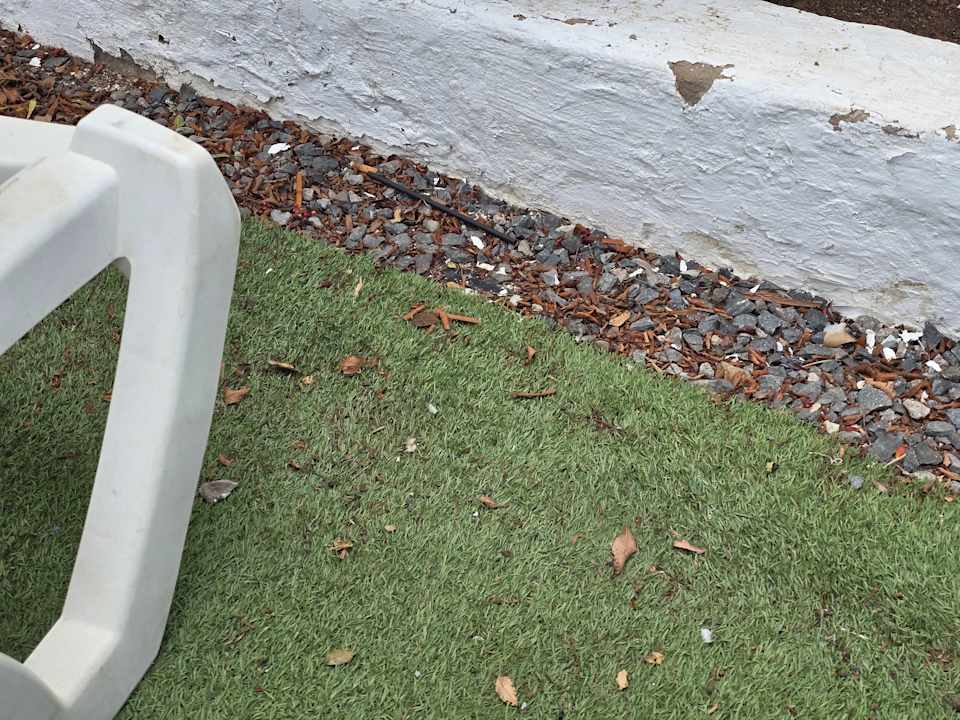 Gartenanlage Servatur Playa Bonita