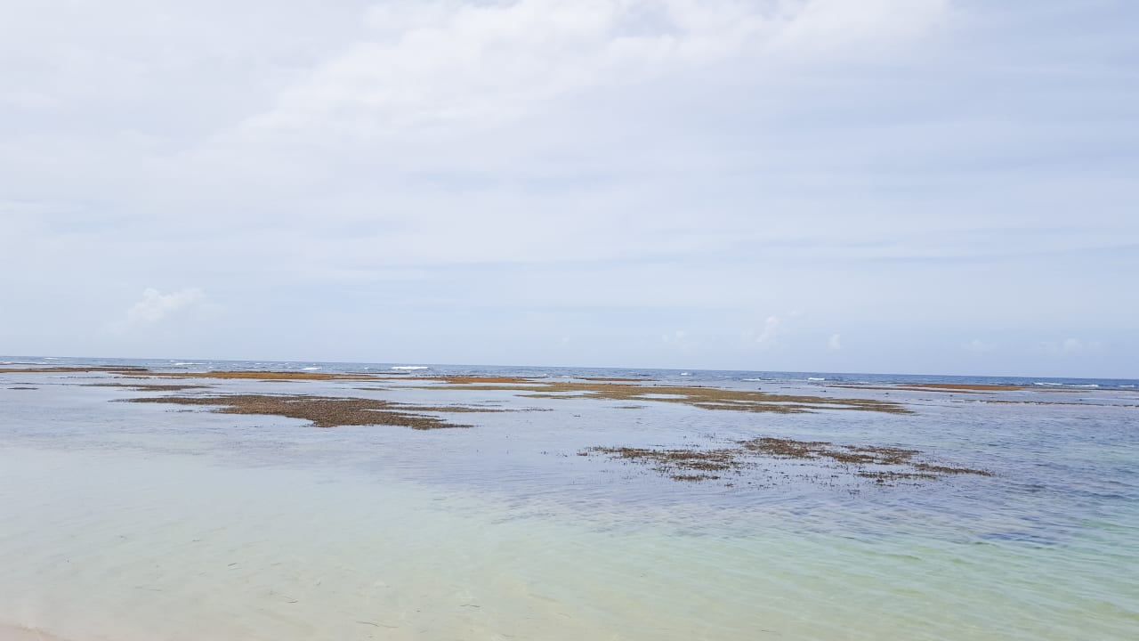 Strand Bahia Principe Grand El Portillo