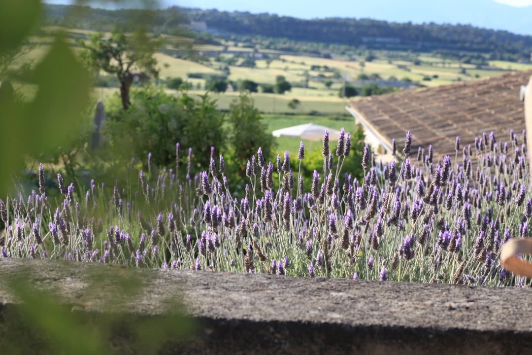 Außenansicht Hotel Finca Sa Rota den Palerm
