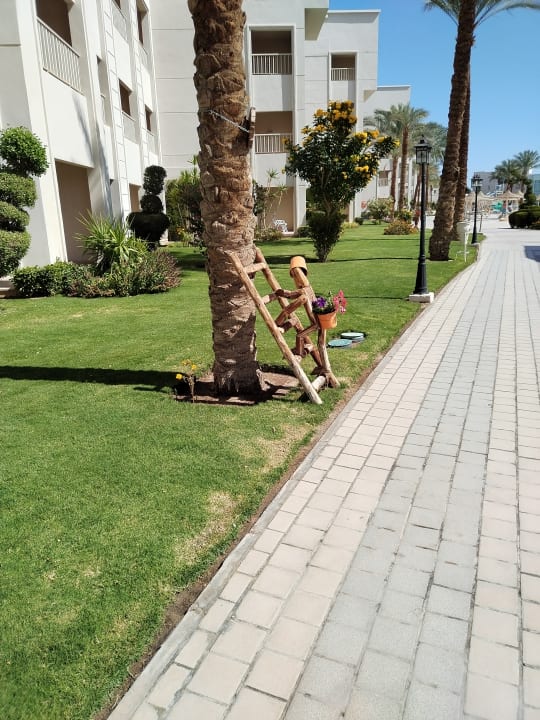 Gartenanlage Jaz Soma Beach