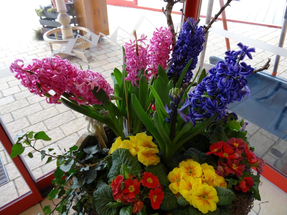Blumenschmuck im Eingangsbereich IFA Alpenrose Hotel Kleinwalsertal