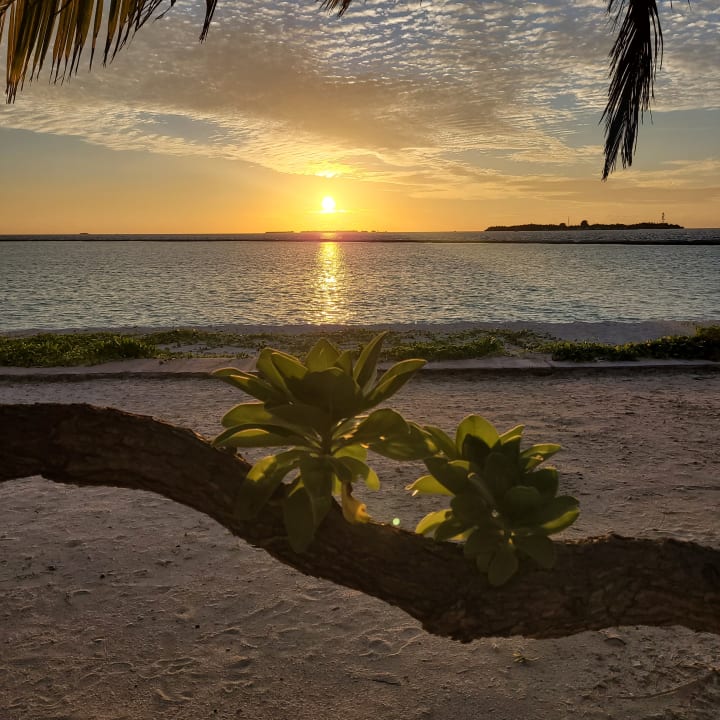 Strand Adaaran Select Meedhupparu Island Resort - Premium All Inclusive