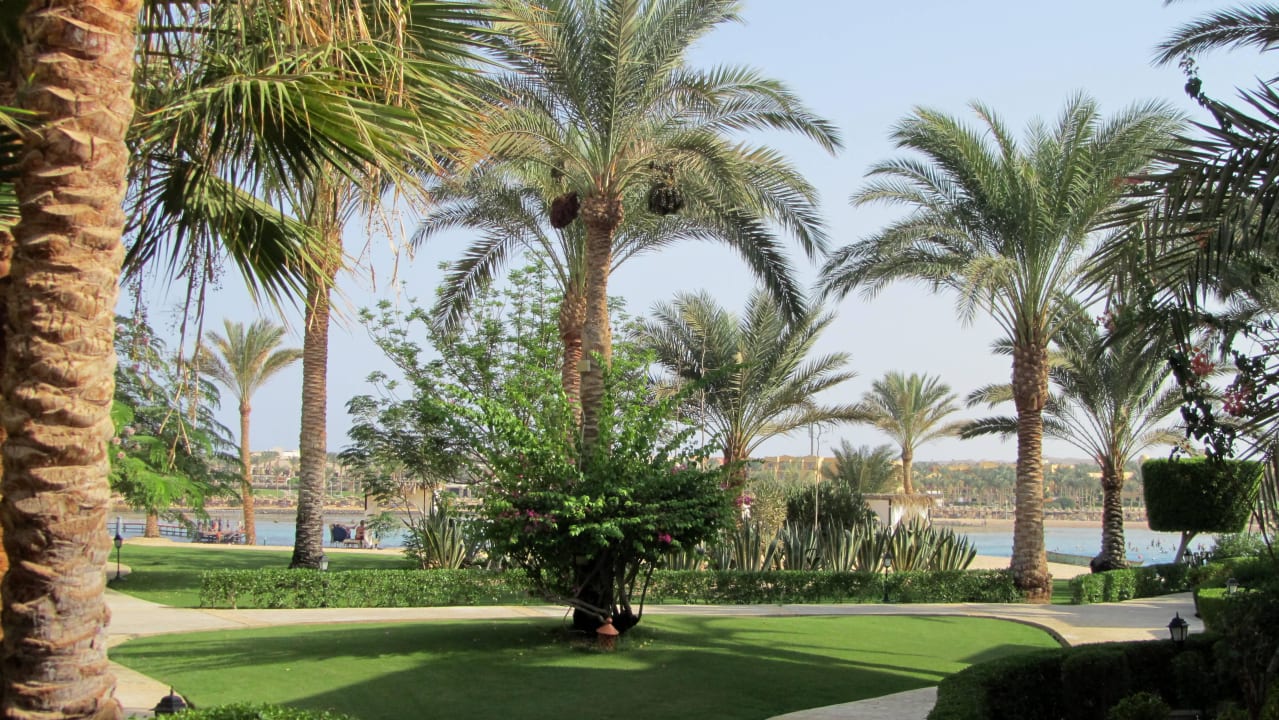 Anlage des Coraya Steigenberger Coraya Beach - Adults only