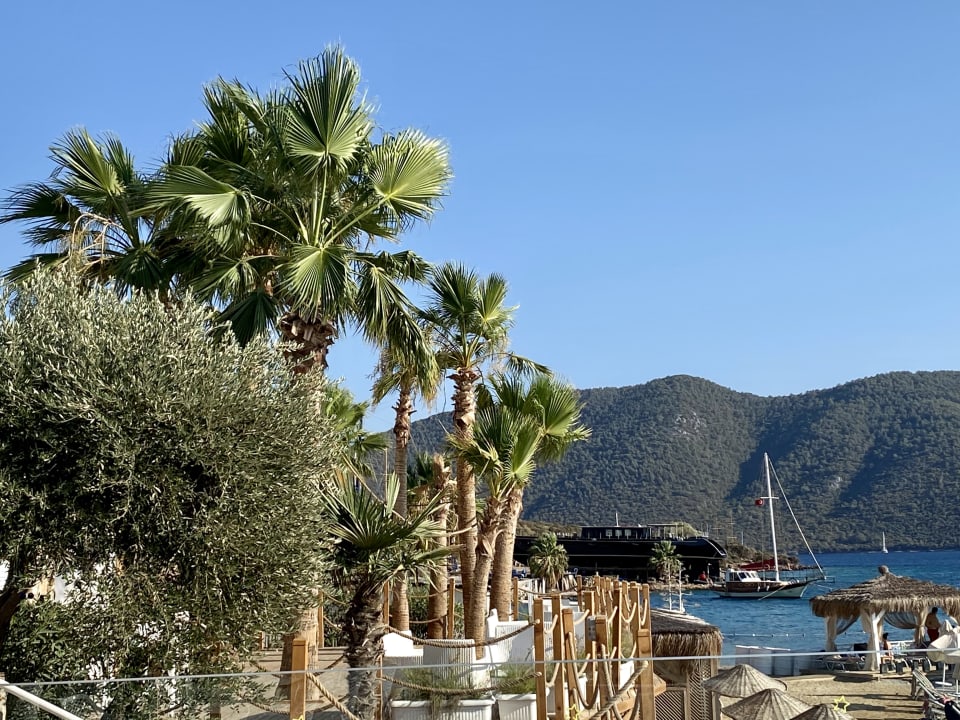 Ausblick TUI MAGIC LIFE Bodrum - Adult Only (16+)
