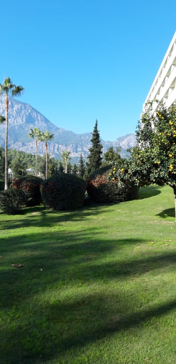 Ausblick Mirage Park Resort