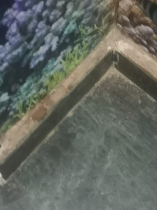 Sonstiges Marlin Inn Azur Resort