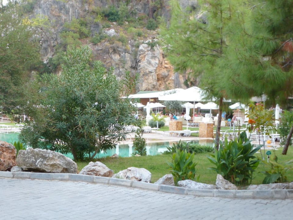 Pool am Strand TUI BLUE Seno - Adults Only