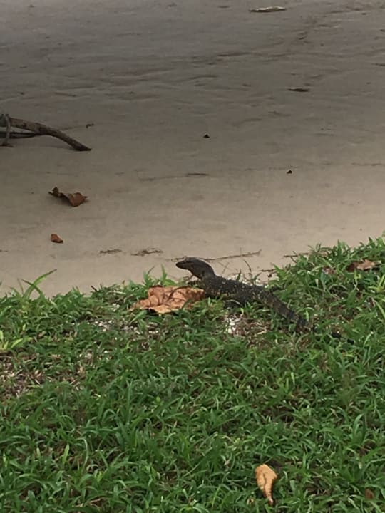 Sonstiges Kantary Beach Hotel - KHAO LAK