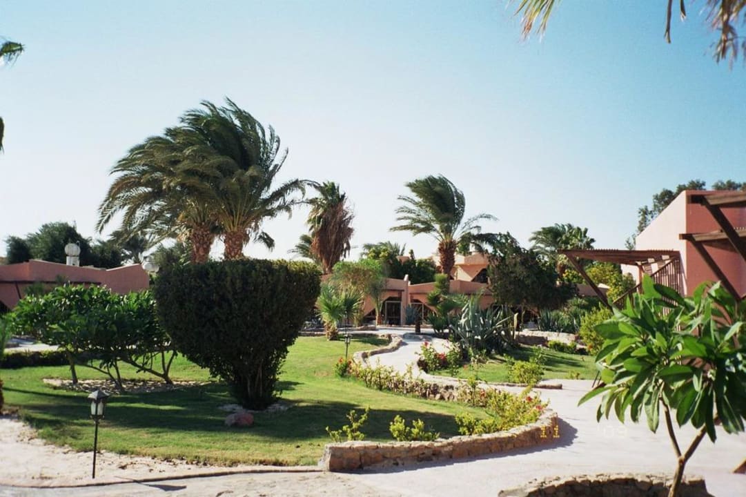 Garten Eagles Paradise Abu Soma