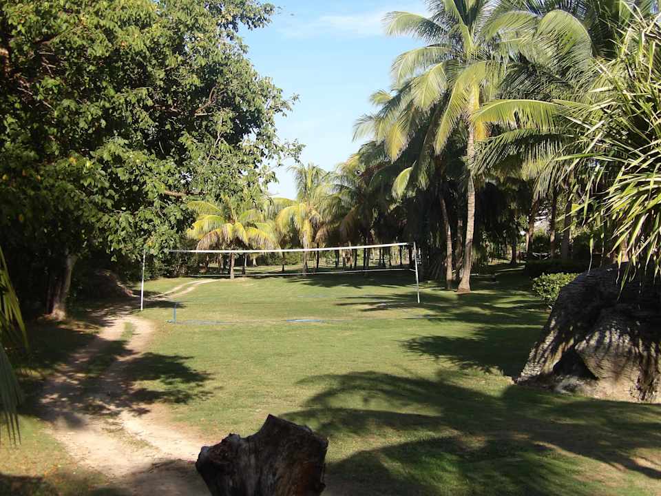 Volleyball Royalton Hicacos Resort & Spa - Adults only