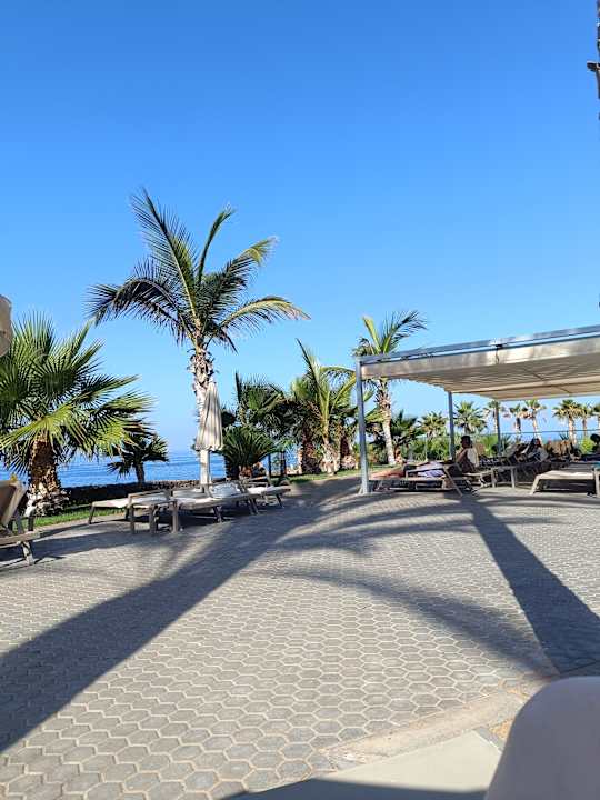 Pool Hotel Riu Buenavista