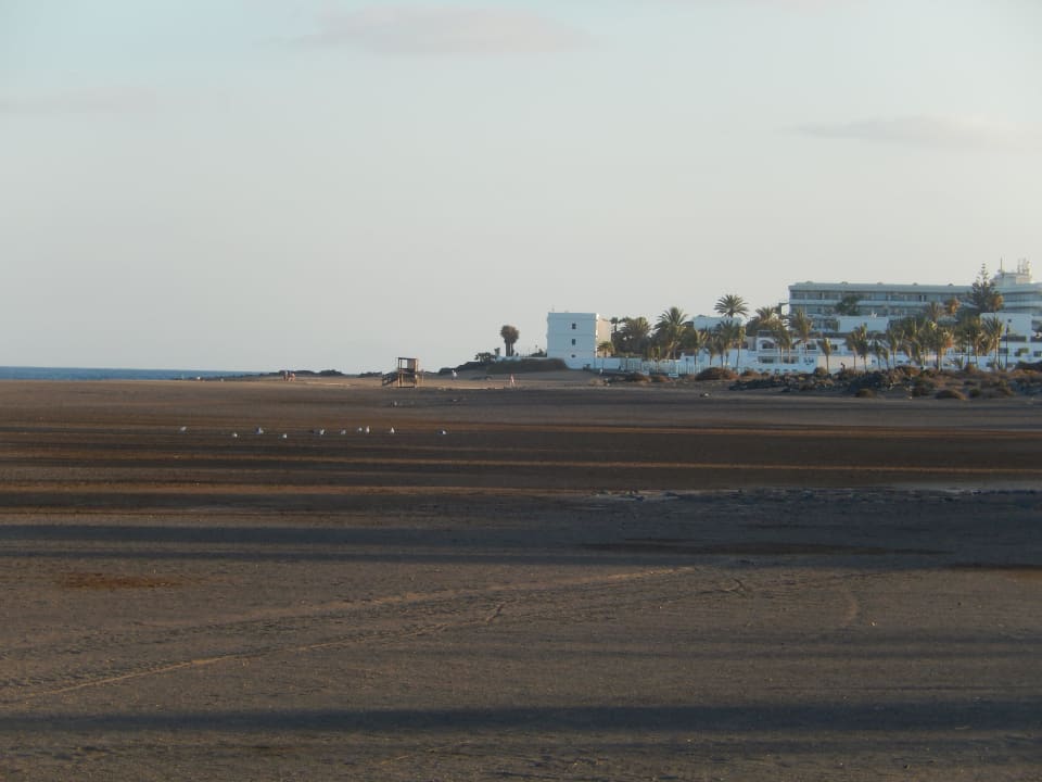 Strand mit Blick aufs Las Costas Hotel Las Costas