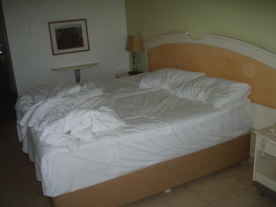 2. Zimmer PALOMA Perissia