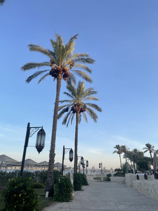 Außenansicht Makadi Spa - Adults only