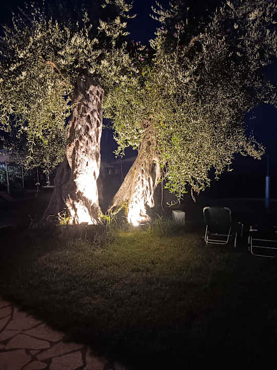 Gartenanlage Elea Beach Hotel