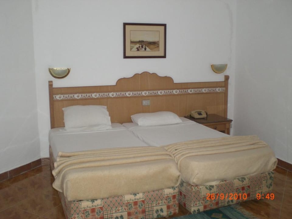 Номер Beach Albatros Resort