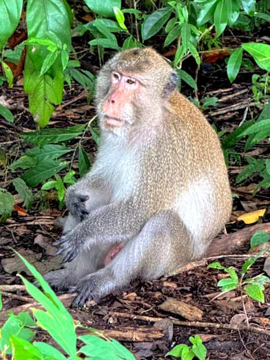 Sonstiges Santhiya Tree Koh Chang Resort