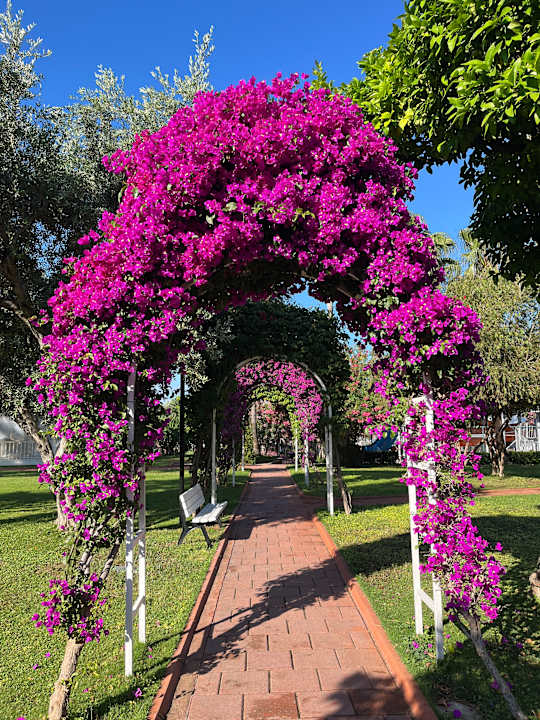 Gartenanlage Seher Kumköy Star Resort & Spa