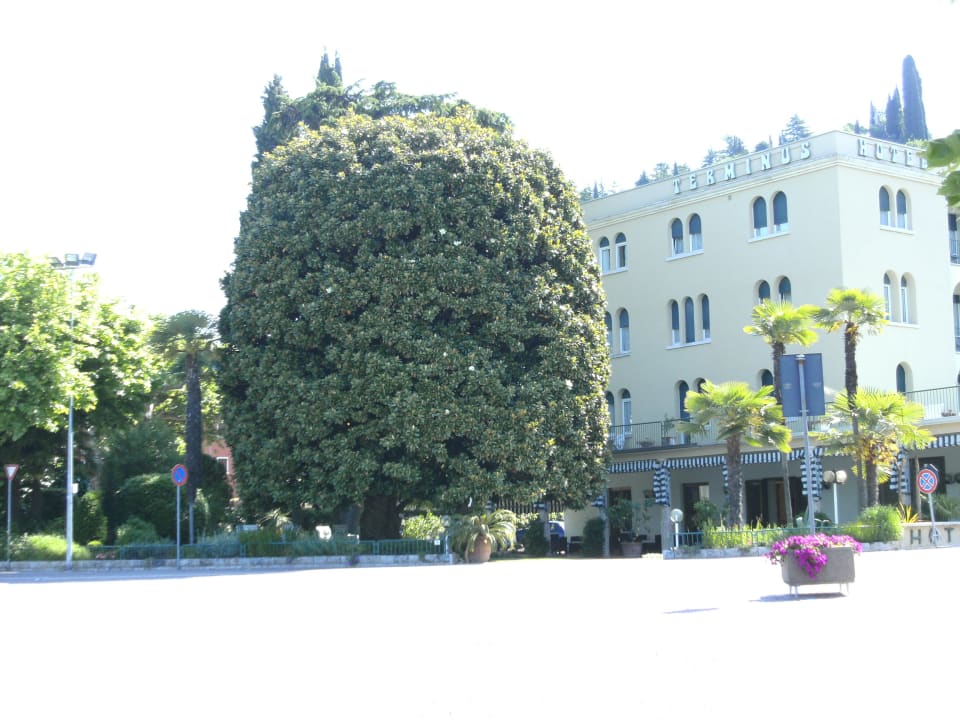 Gepflegte Gartenanlage Hotel Terminus & Garda