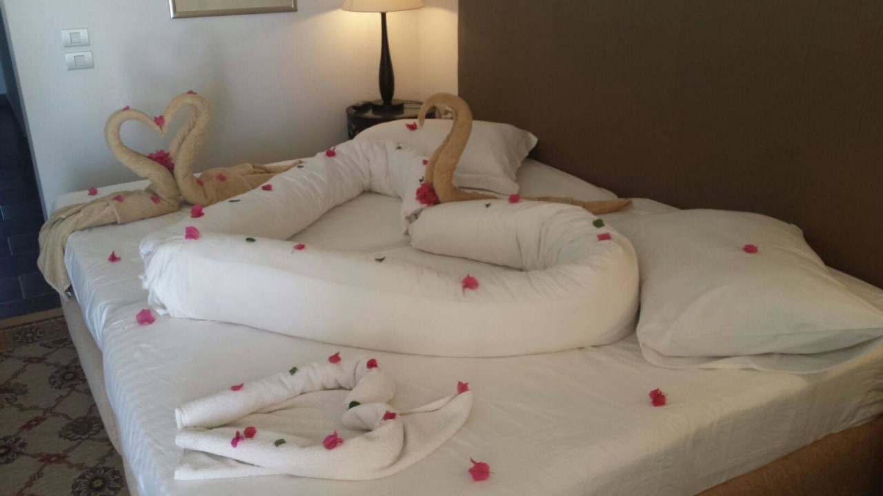 Deko Steigenberger Makadi Hotel - Adults only