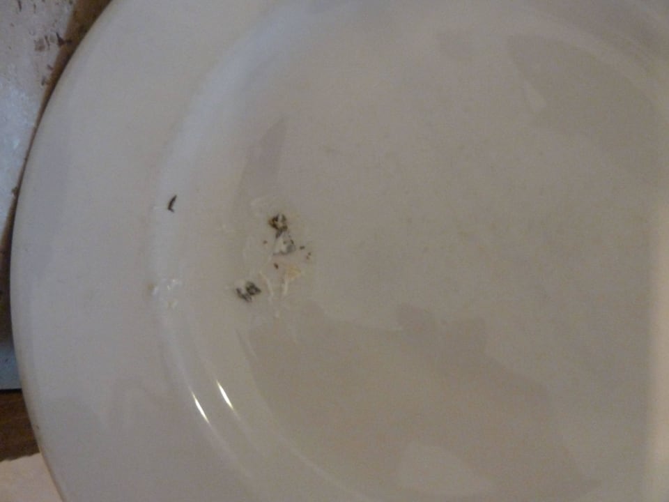 14 Tage schm. u. nasse Teller Melia La Palma Hotel