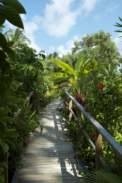 Brücke nahe des Boashi Pools Vilamendhoo Island Resort & Spa