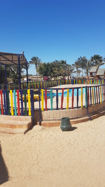 Sonstiges Desert Rose