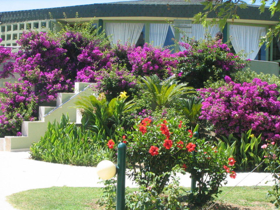 An der Beach Bar VONRESORT Golden Coast