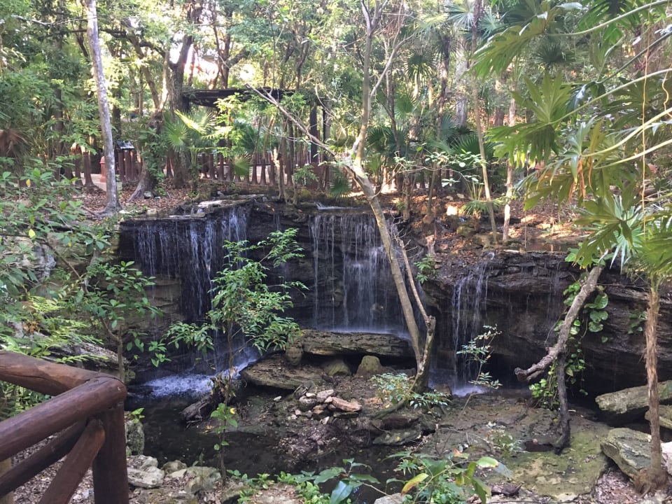 Gartenanlage Iberostar Waves Tucan