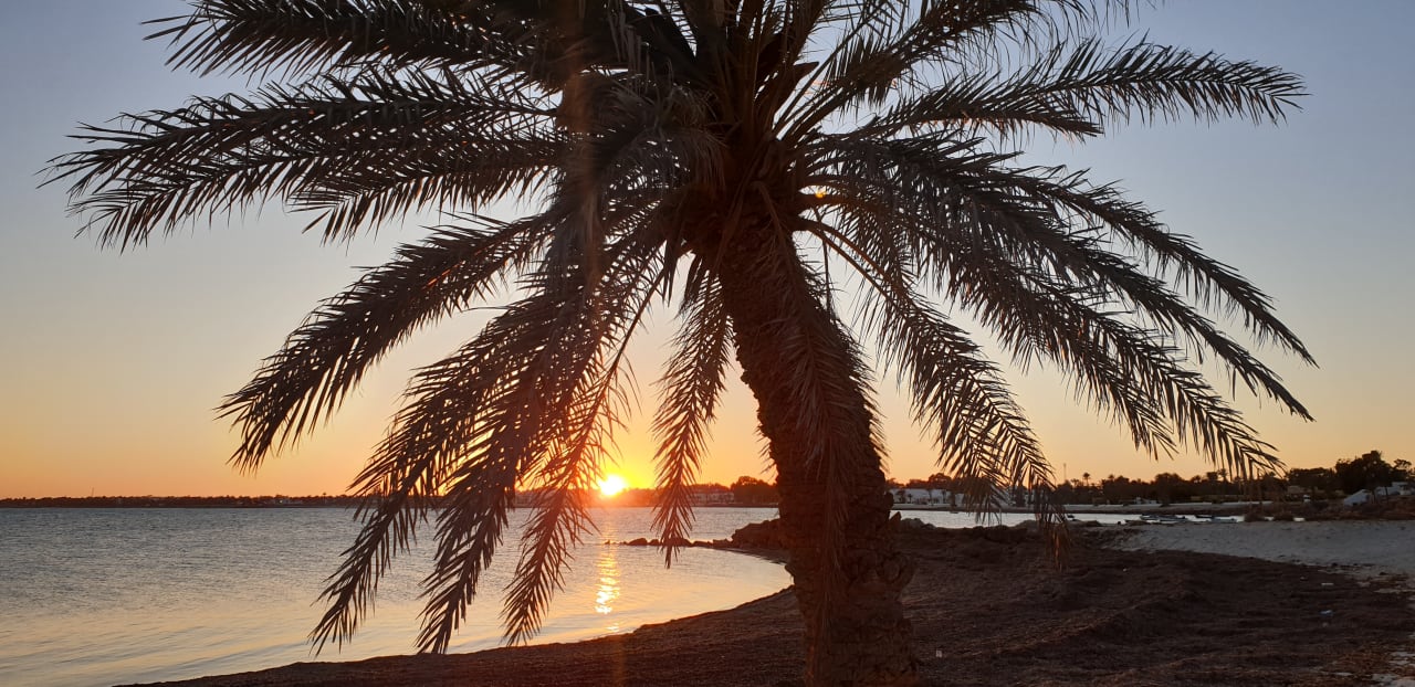 Ausblick Hotel El Mouradi Djerba Menzel