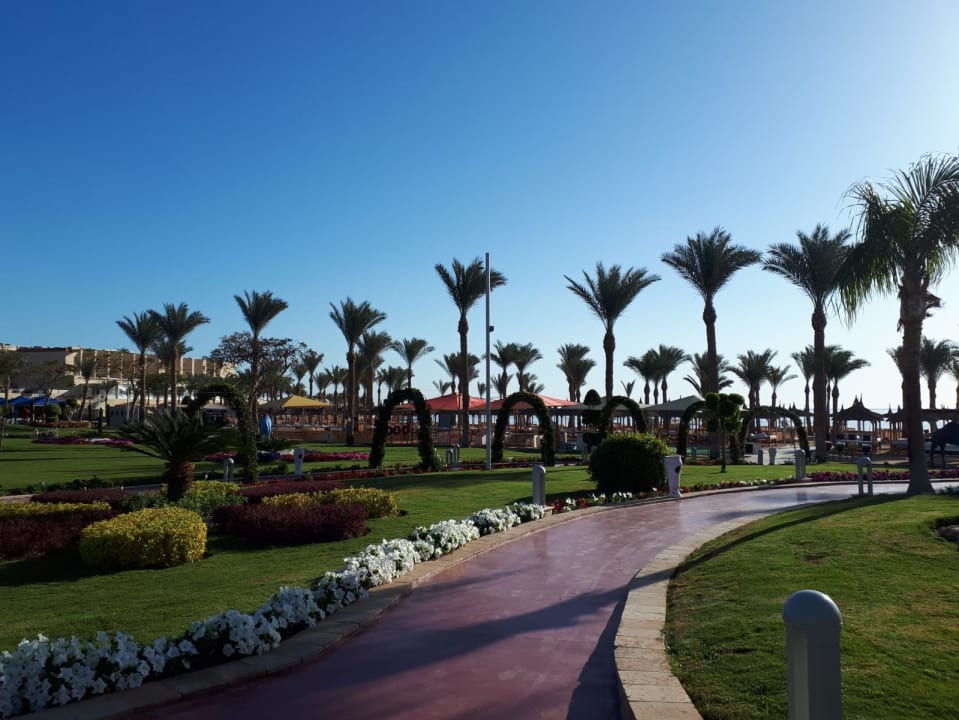Gartenanlage Pickalbatros Palace Resort