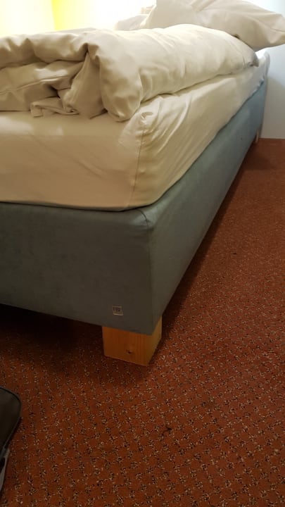 Zimmer Hotel Neuwaldhaus