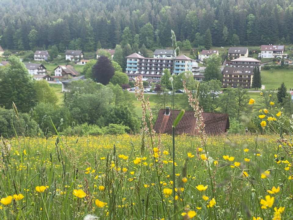 Ausblick Enztalhotel