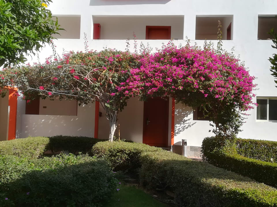 Gartenanlage Fantazia Resort Marsa Alam