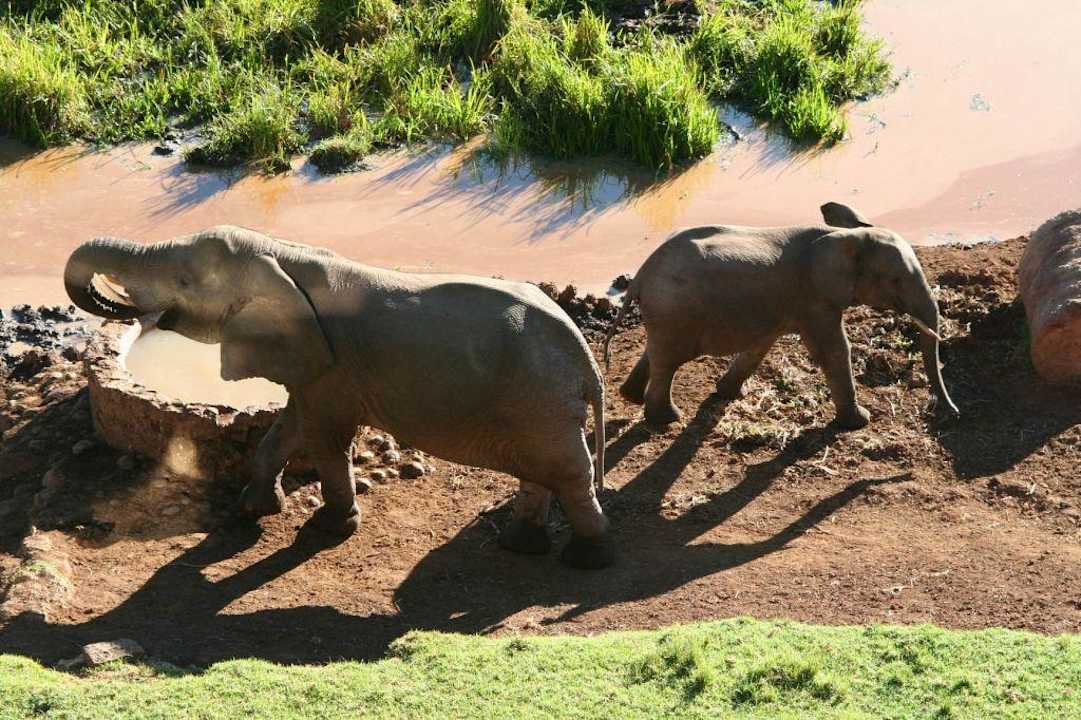 Ausblick auf das Wasserloch vorm Hotelzimmer Hotel Serena Mountain Lodge