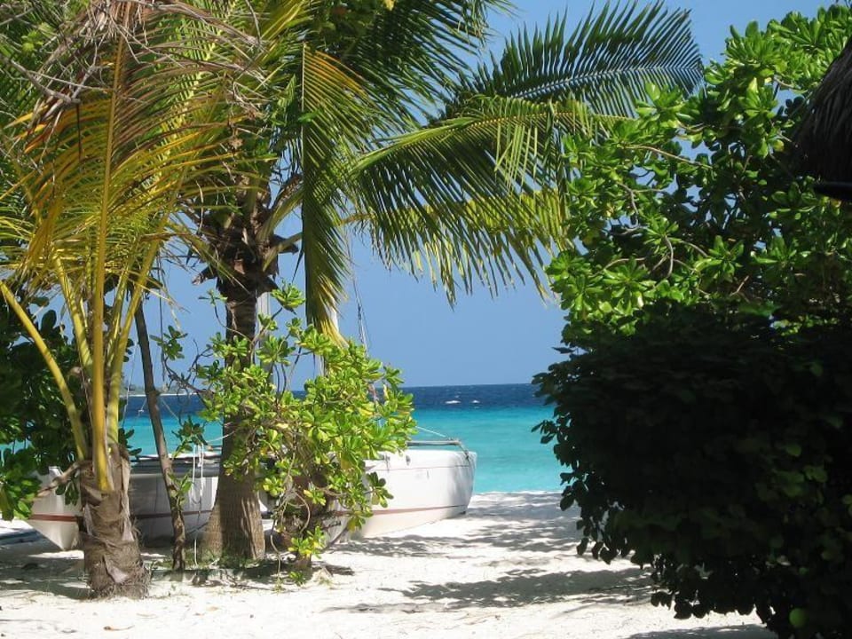 Typische Urlaubsbilder Summer Island Maldives