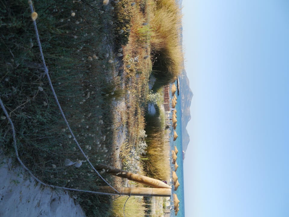 Blick von Gartenanlage auf Strand Grupotel Natura Playa